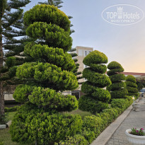 фото из отзыва ID 2712688