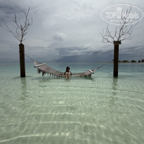 фото из отзыва ID 2712819