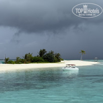 фото из отзыва ID 2712819