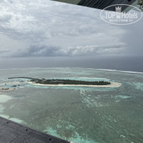 фото из отзыва ID 2712819