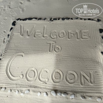 фото из отзыва ID 2712819