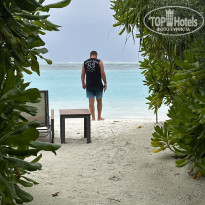 фото из отзыва ID 2712819