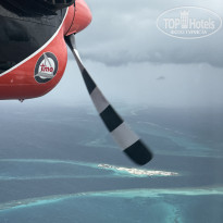 фото из отзыва ID 2712819