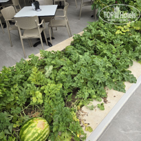 фото из отзыва ID 2712879