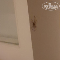 фото из отзыва ID 2712893