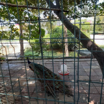 фото из отзыва ID 2712738