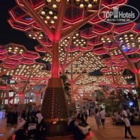 фото из отзыва ID 2712957