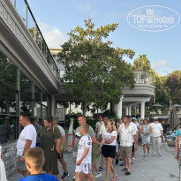 фото из отзыва ID 2712146