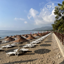 фото из отзыва ID 2712976