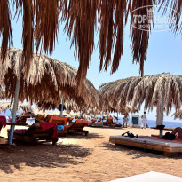 фото из отзыва ID 2712977