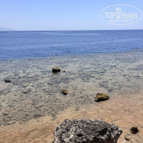 фото из отзыва ID 2712977