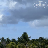 фото из отзыва ID 2712981