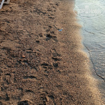 фото из отзыва ID 2712990