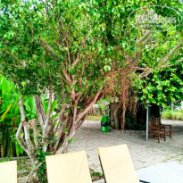 фото из отзыва ID 2713012