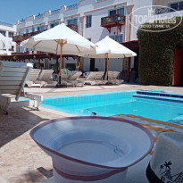 фото из отзыва ID 2713029