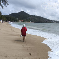 фото из отзыва ID 2713028