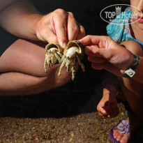 фото из отзыва ID 2713023