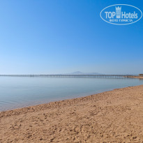 фото из отзыва ID 2713023