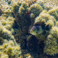 фото из отзыва ID 2713023