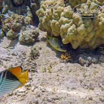 фото из отзыва ID 2713023