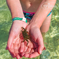 фото из отзыва ID 2713023