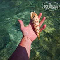 фото из отзыва ID 2713023