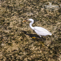 фото из отзыва ID 2713023