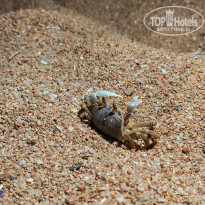 фото из отзыва ID 2713023