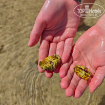 фото из отзыва ID 2713023