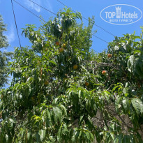 фото из отзыва ID 2713032