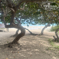 фото из отзыва ID 2713043