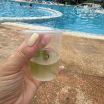 фото из отзыва ID 2713043