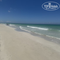 фото из отзыва ID 2713043