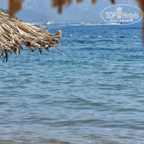 фото из отзыва ID 2713114