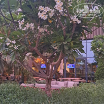 фото из отзыва ID 2713118