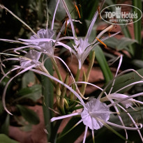 фото из отзыва ID 2713118