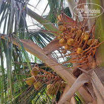 фото из отзыва ID 2713118