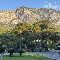 фото из отзыва ID 2713151