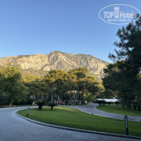 фото из отзыва ID 2713151