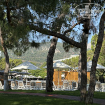 фото из отзыва ID 2713151