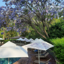 фото из отзыва ID 2713189