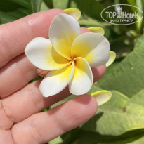 фото из отзыва ID 2713175