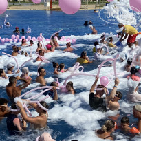 фото из отзыва ID 2713175