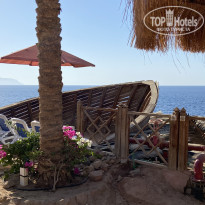 фото из отзыва ID 2713175