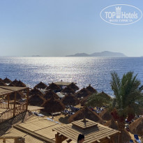 фото из отзыва ID 2713175