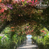 фото из отзыва ID 2713202