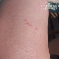 фото из отзыва ID 2713040