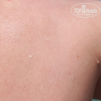 фото из отзыва ID 2713040