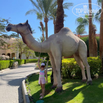 фото из отзыва ID 2713209