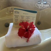 фото из отзыва ID 2713190